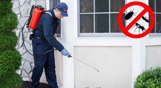 Güzelbahçe Kemirgen İlaçlama böcek ilaçlama ve haşere kontrolü — ilaclama-tr.com